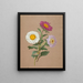 Asters - Anónimo — cuadro enmarcado en la pared