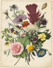 de ramo de flores - Anónimo — vista de la obra