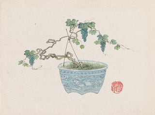 Anonymous - Bonsai kabenzu Pl15.webp