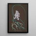 Colección de orquídeas Pl37 - Anónimo — vista de la obra