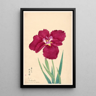 Anonymous - Enjoyment in Peace Taiheiraku.webp