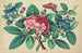 Grande Flor Roja, Flores Azules, Mariposa - Anónimo — vista de la obra
