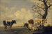 Bovine in a pasture - Anonymous — artwork view