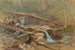 Estanque en el bosque - Anónimo — vista de la obra