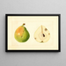 Pyrus communis - Anónimo — cuadro enmarcado en la pared