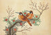 two birds on a flowering tree branch - Anonymous — artwork view