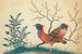 Two birds resembling pheasants with flowering plants - Anonymous — artwork view