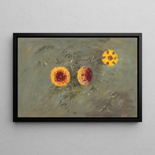 Anonymous - Zinnias.webp