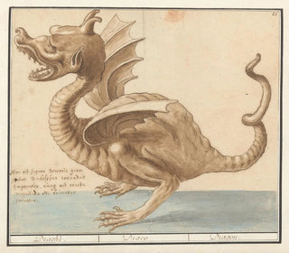 Anselmus Botius de Boodt - Draak Dracke Draco Dragon.webp