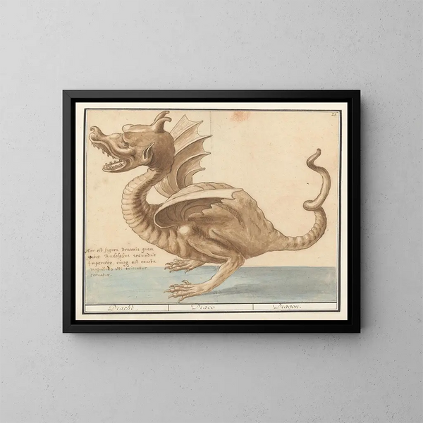 Dragón - Anselmus Botius de Boodt — cuadro enmarcado en la pared