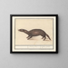 Furet - Anselmus Botius de Boodt — cuadro enmarcado en la pared
