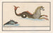 Hippocampe y otros animales fantásticos 1 Caballo de mar 2 Pez marrón - Anselmus Botius de Boodt — vista de la obra