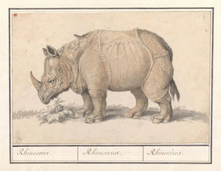 Anselmus Botius de Boodt - Indische neushoorn Rhinoceros unicornis Rhinocerus Rhinoceros Rhinocros.webp