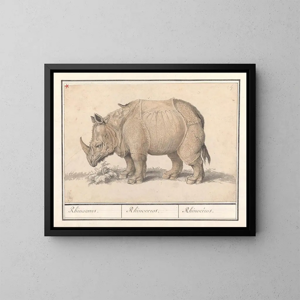 Rinoceronte indio - Anselmus Botius de Boodt — cuadro enmarcado en la pared