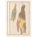 Reproduction of the painting of Two Birds - Anselmus Botius de Boodt