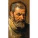 Cabeza de hombre barbudo - Antoine van Dyck — vista de la obra