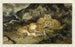 León y leoncillos - Antoine-Louis Barye — vista de la obra