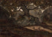 Two Deer Resting in Fontainebleau Forest - Antoine-Louis Barye — artwork view
