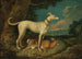 A hunting dog with a rabbit - Anton Enzinger — artwork view