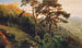 El Habsburgo - Anton Hlaváček — vista de la obra