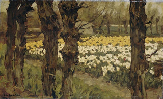 Anton L Koster - Tulip Fields.webp