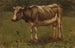Vaca - Anton Mauve — vista de la obra