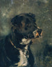 Cabeza de perro de carnicero Cabeza de perro - Anton Romako — vista de la obra