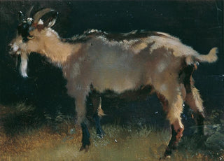 Anton Schrdl - Ziege.webp
