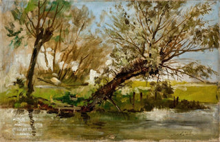 Antoni Kozakiewicz - Willows.webp