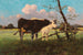 Cows in a meadow - Antonio Montemezzo — artwork view