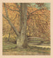 Tree near the stream in autumn - Simon Moulijn — artwork view
