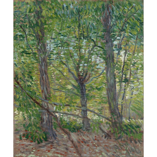 Arbres - Vincent van Gogh | Reproduction Tableau Décoration murale affiche copie