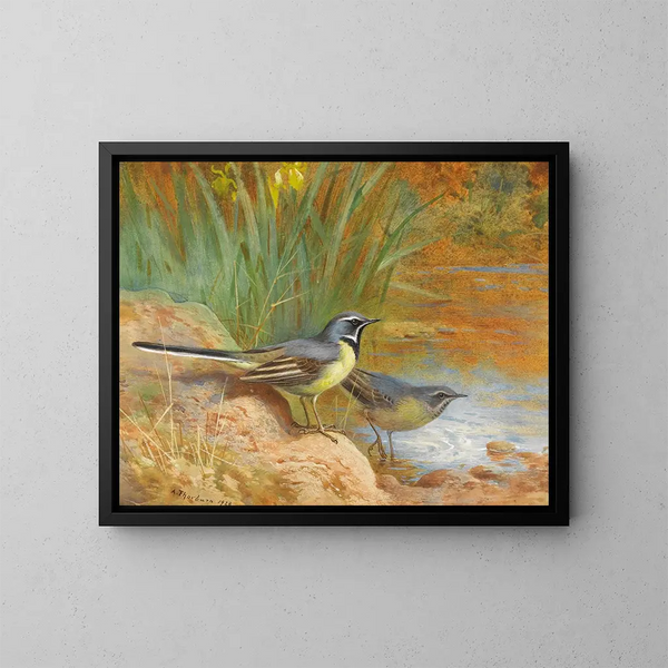 5 Gorriones grises - Archibald Thorburn — cuadro enmarcado en la pared