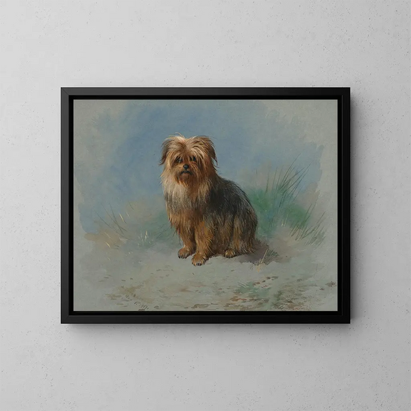 Un terrier de Norfolk - Archibald Thorburn — cuadro enmarcado en la pared