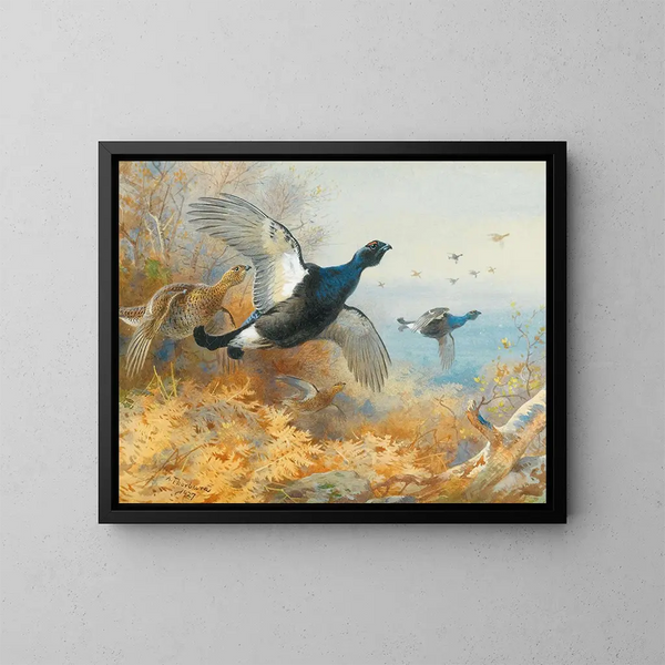 Gallina negra de frente - Archibald Thorburn — cuadro enmarcado en la pared