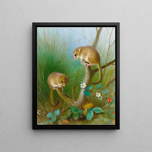 Loirs - Archibald Thorburn — framed artwork on a wall