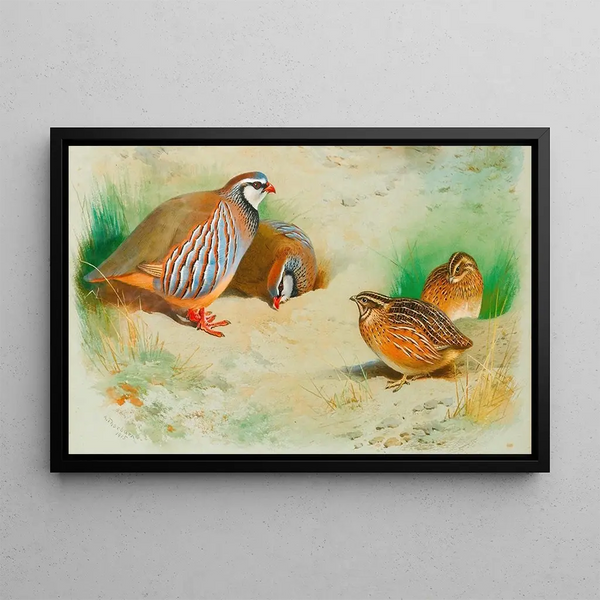 Perdiz roja y polluelos - Archibald Thorburn — cuadro enmarcado en la pared
