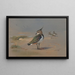 Vanneaux verdes - Archibald Thorburn — cuadro enmarcado en la pared