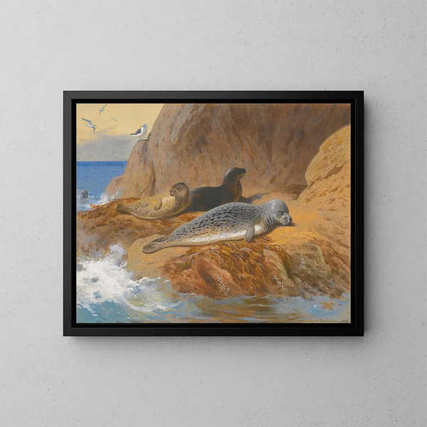 de focas grises y focas comunes en reposo - Archibald Thorburn — cuadro enmarcado en la pared