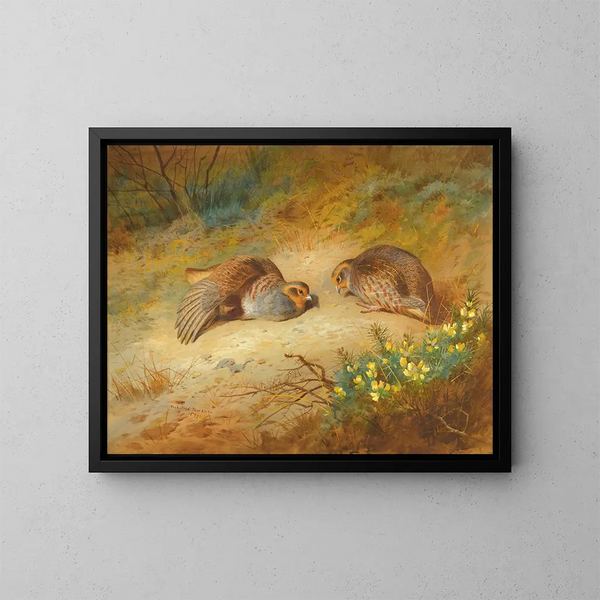 Perdiz gris - Archibald Thorburn — cuadro enmarcado en la pared