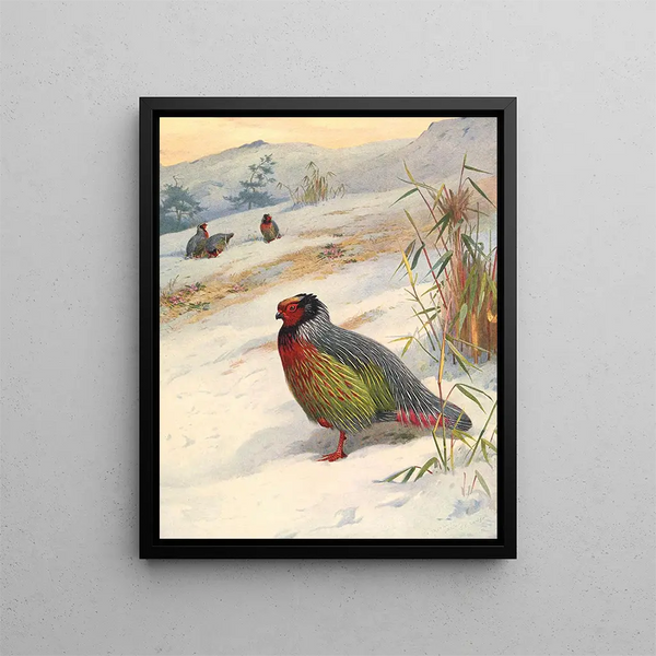 Perdrix de sangre de Kusers - Archibald Thorburn — cuadro enmarcado en la pared
