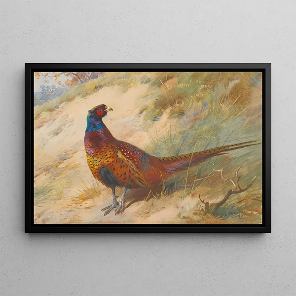 Pheasant - Archibald Thorburn — framed artwork on a wall