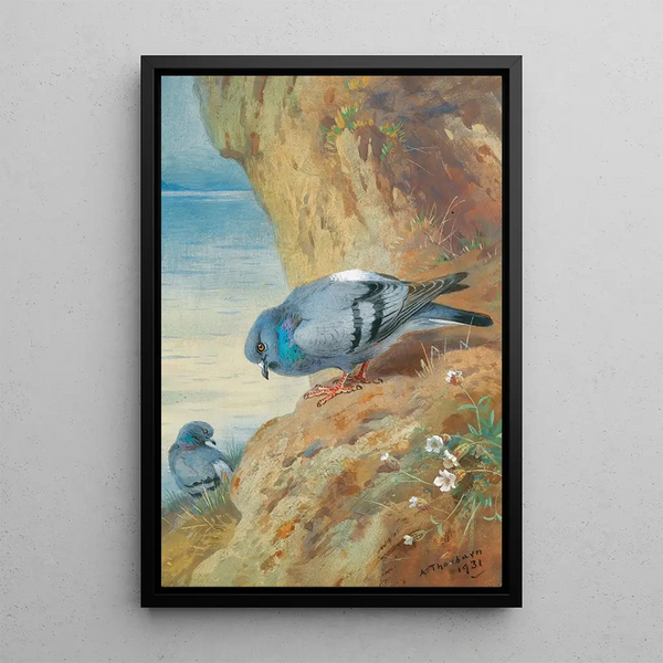 Palomas biset - Archibald Thorburn — cuadro enmarcado en la pared