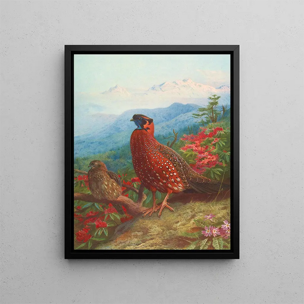 The Tragopan Satyr - Archibald Thorburn — framed artwork on a wall