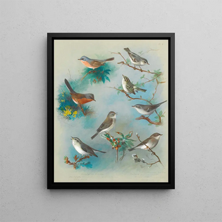 Archibald Thorburn - Warbler And Wrens.webp