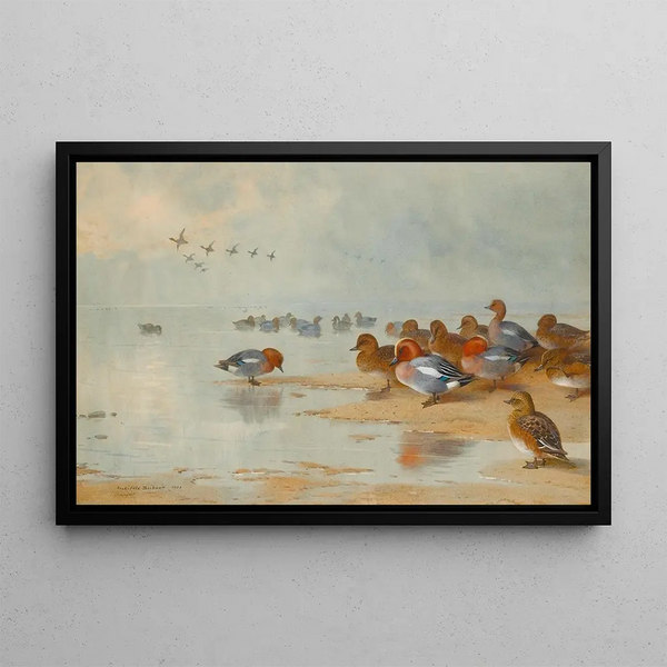 Sarcelle y pato silbador junto al agua - Archibald Thorburn — cuadro enmarcado en la pared