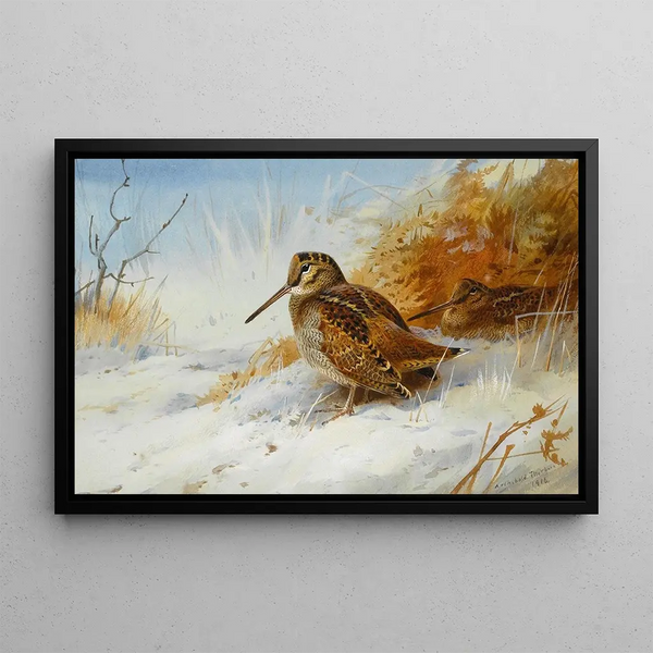 Bécasse de invierno - Archibald Thorburn — cuadro enmarcado en la pared