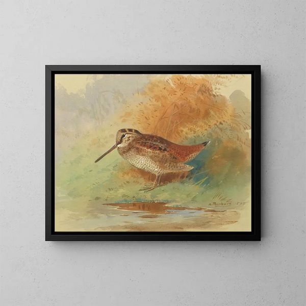 Bécasse au bord de l'eau - Archibald Thorburn — cuadro enmarcado en la pared