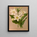 Eucharis Amazonica - Arentina Hendrica Arendsen — framed artwork on a wall
