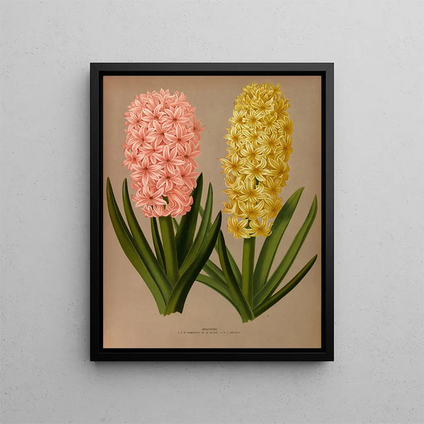 Arentina Hendrica Arendsen - Hyacinths 4.webp